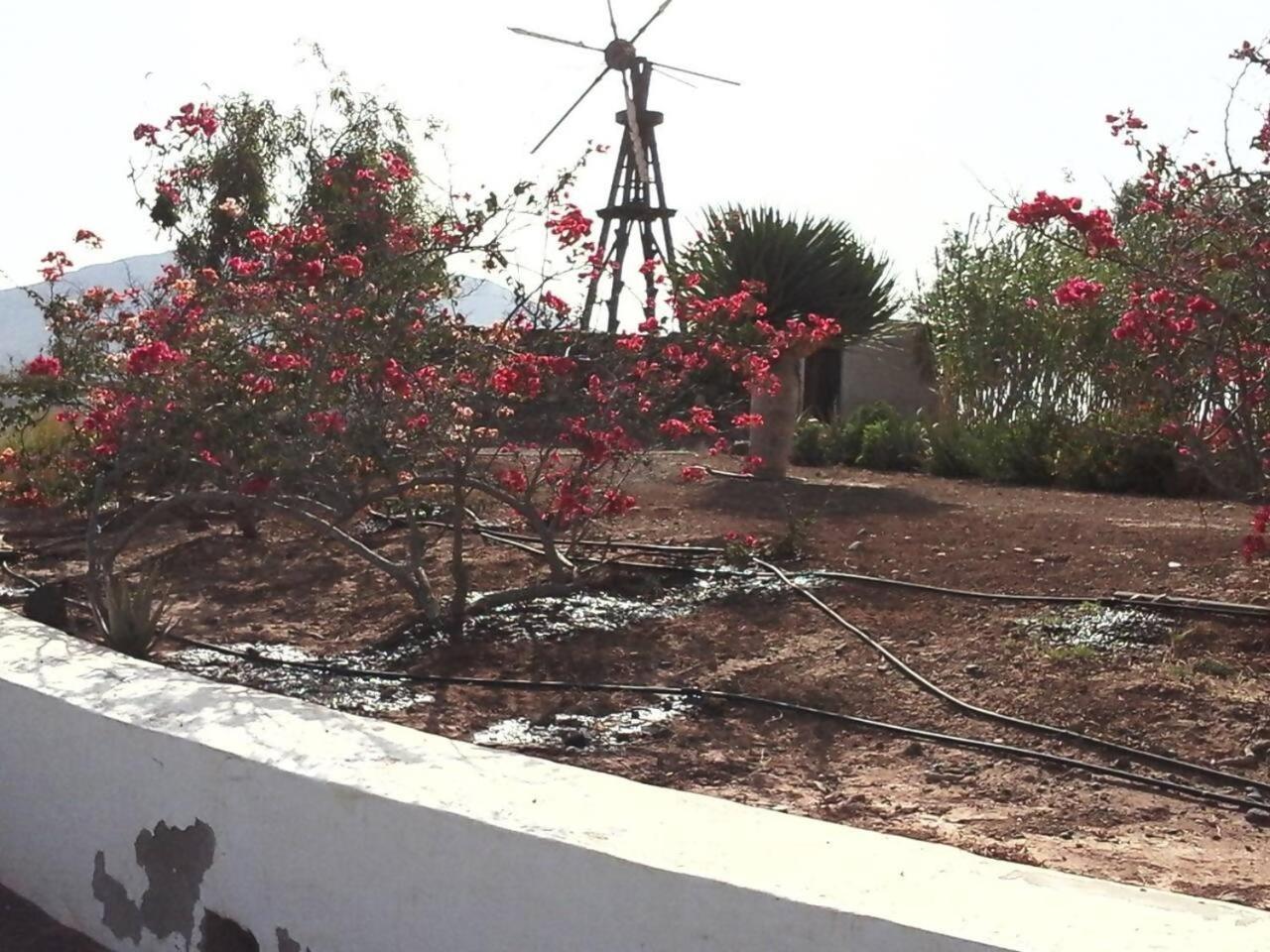 Rural Rugama Villa Puerto del Rosario  Eksteriør billede